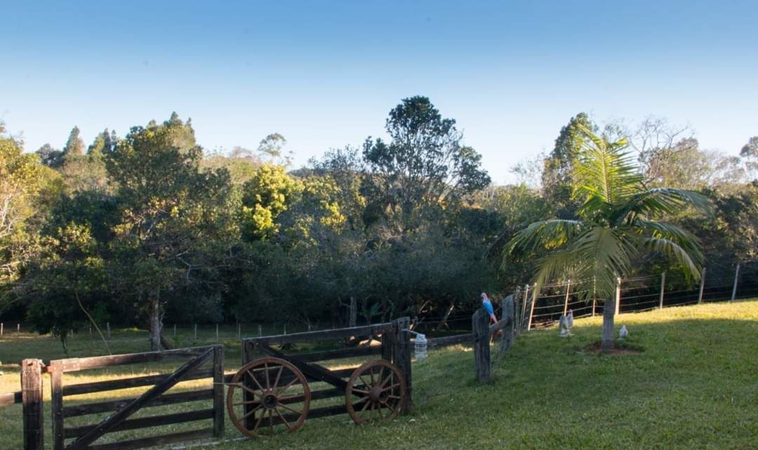 Photo of Outdoor in Viamao