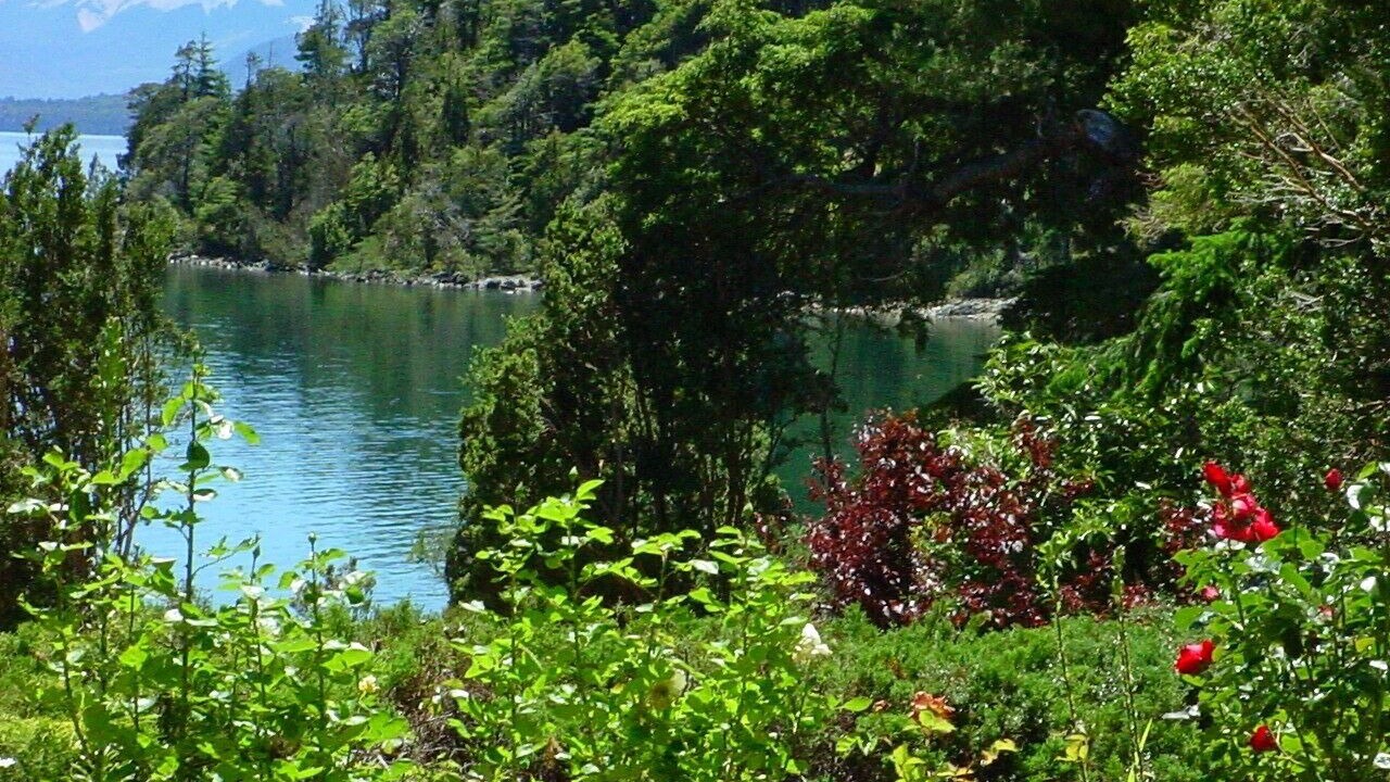 Photo of Outdoor in Nahuel Huapi