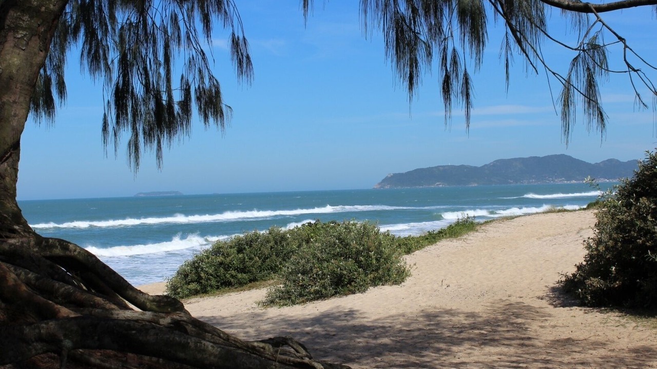Photo of Others in Muquem