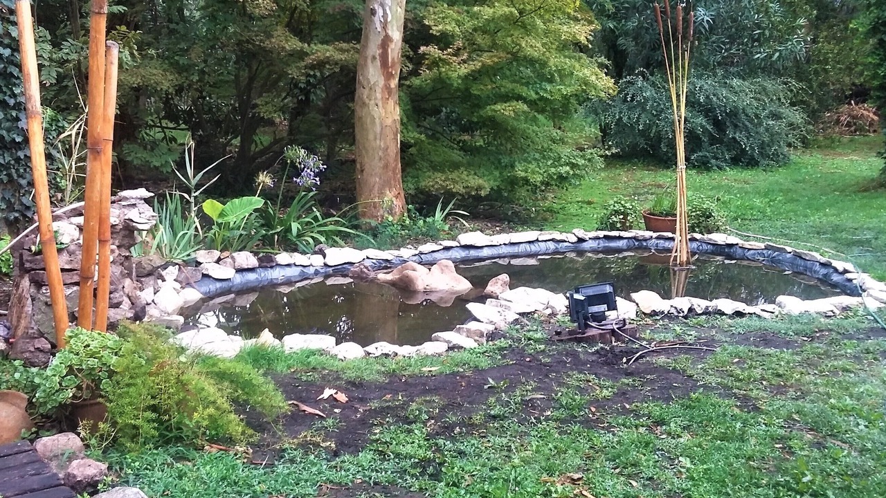 Photo of Outdoor in Bosque Peralta Ramos