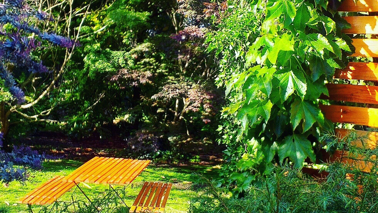 Photo of Outdoor in Bosque Peralta Ramos