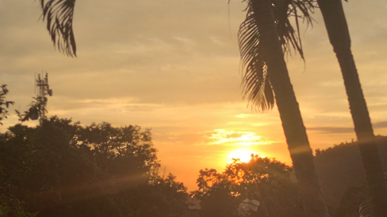 Photo of Others in Paraty