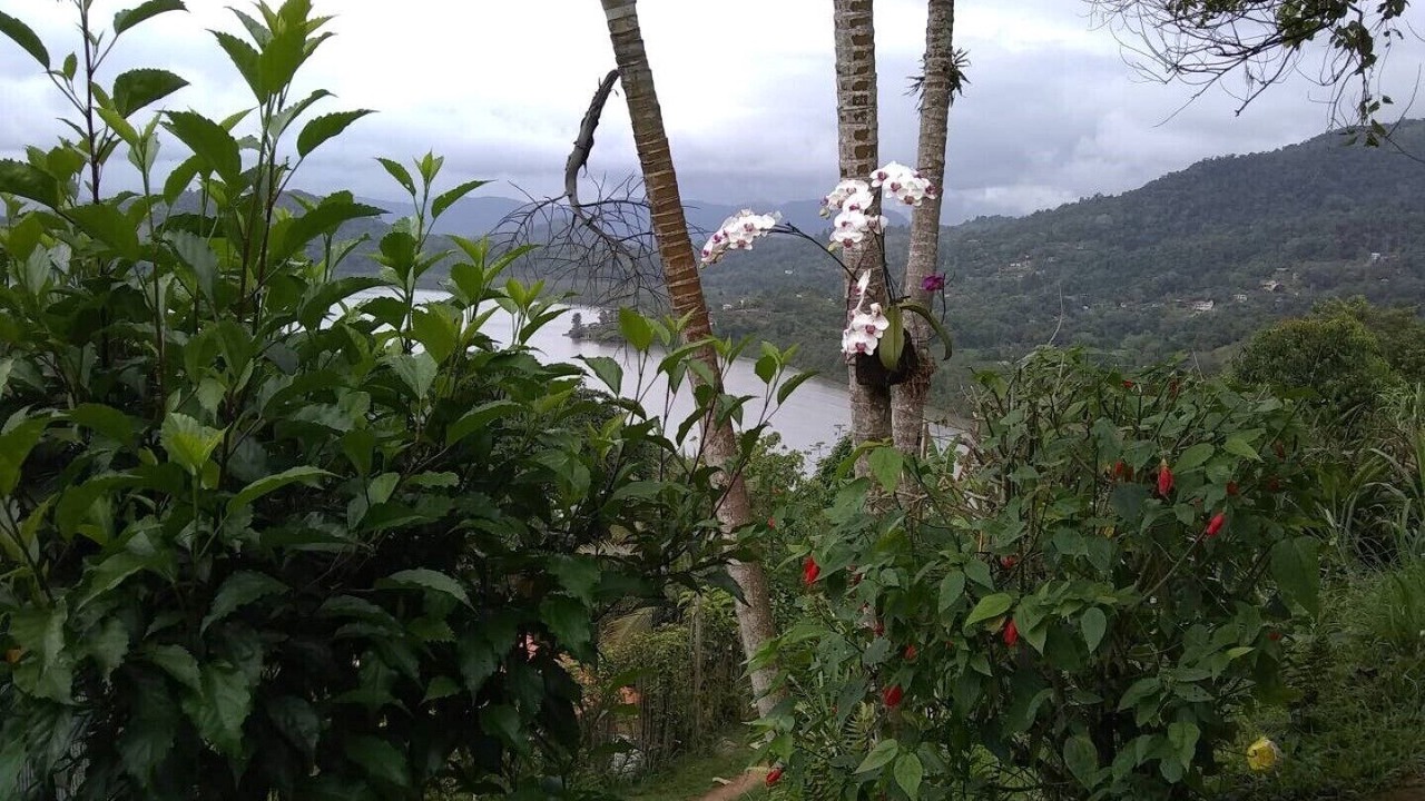 Photo of Outdoor in Paraty