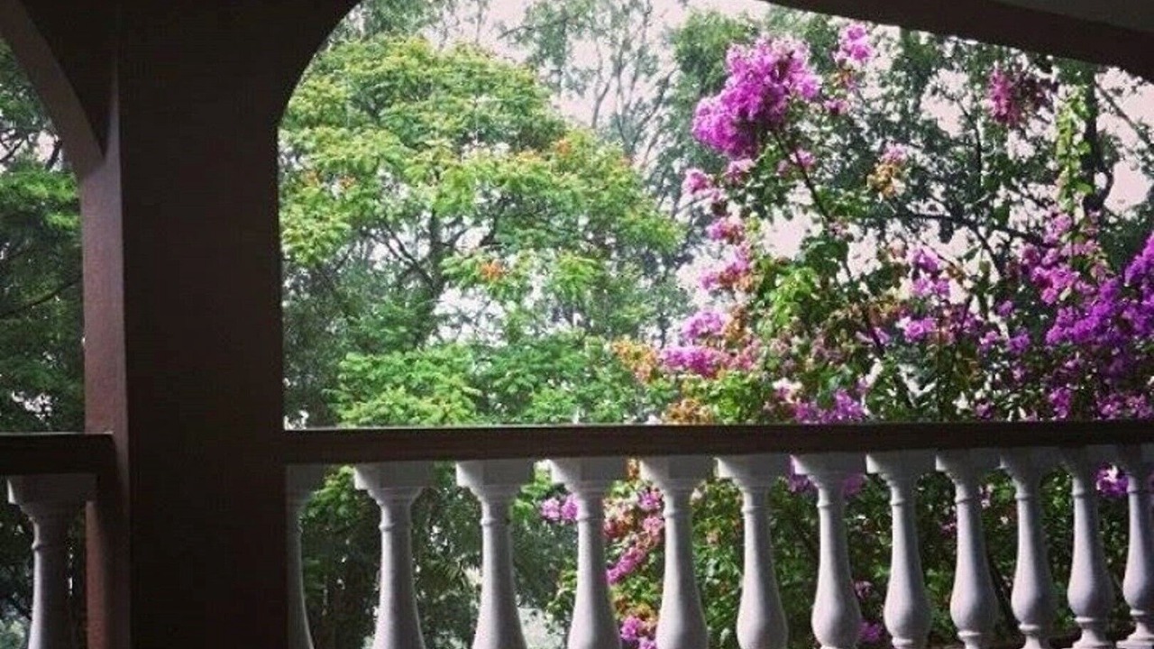 Photo of Outdoor in Belem