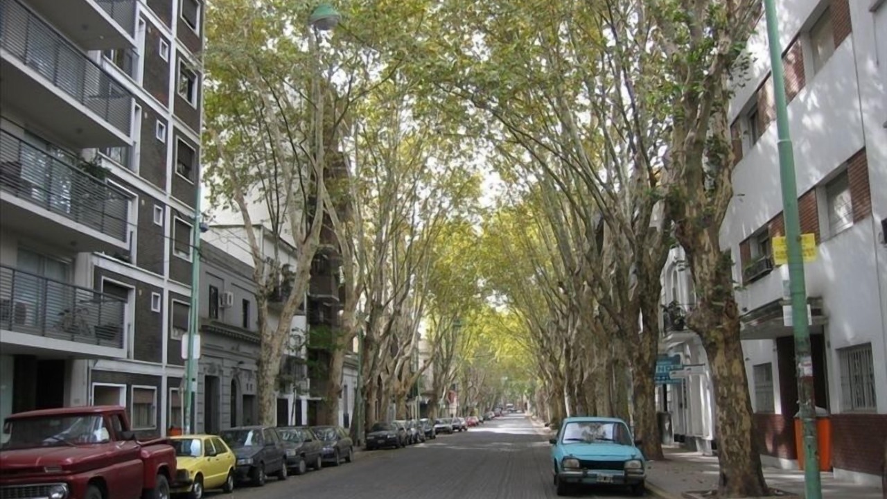 Photo of Others in Palermo