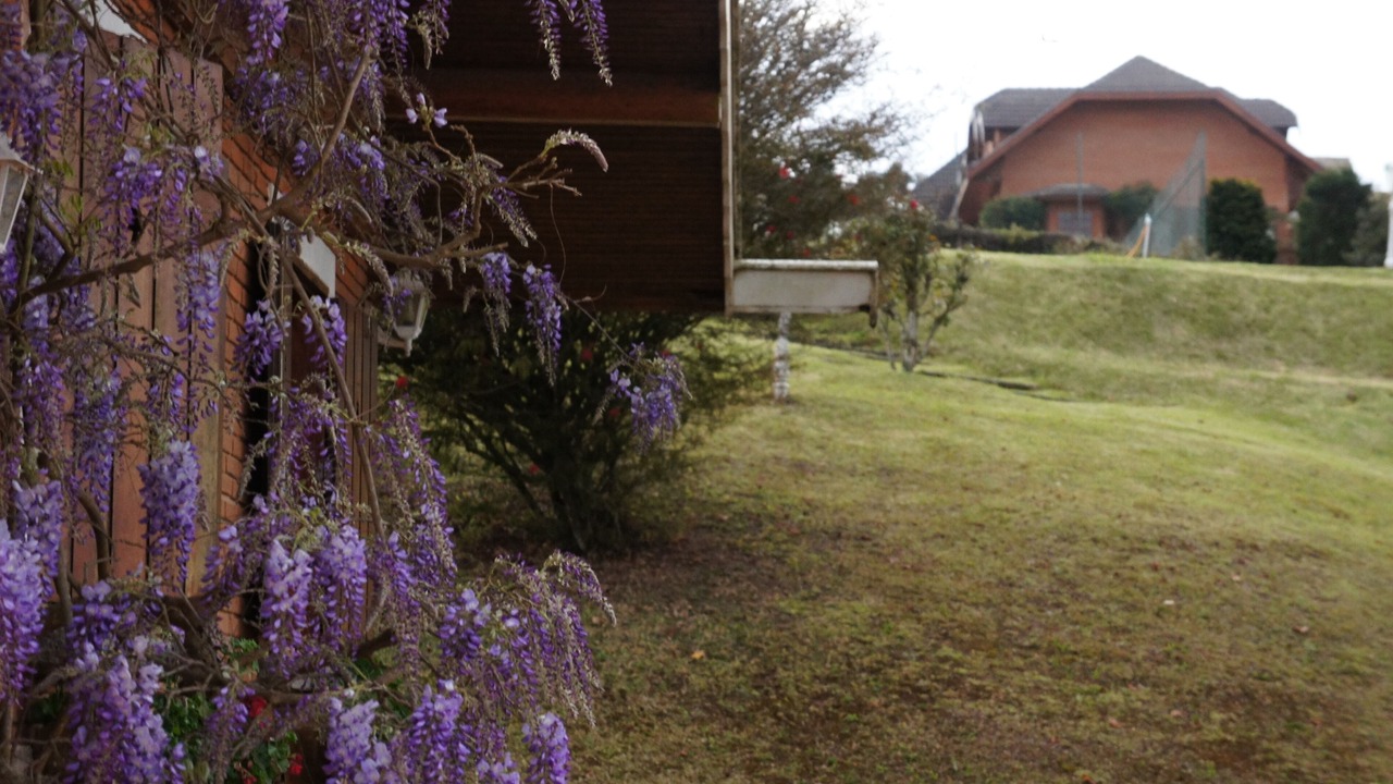 Photo of Outdoor in Vila Britania