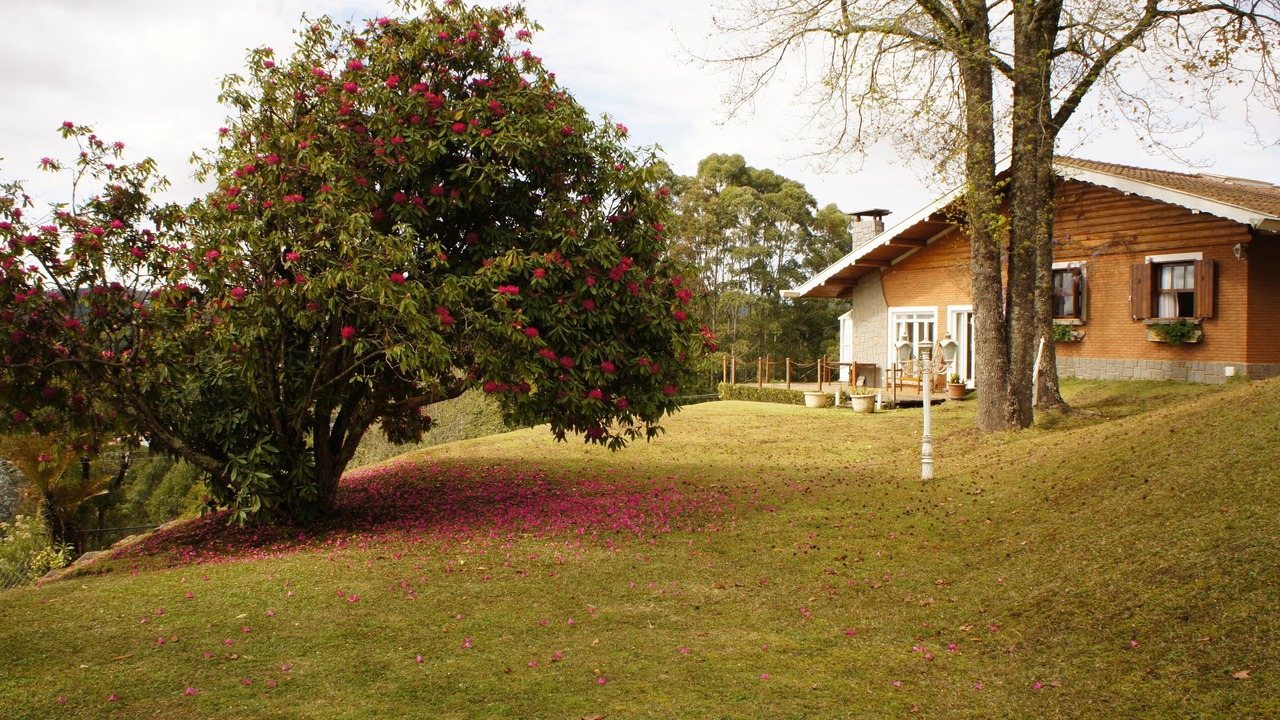 Photo of Outdoor in Vila Britania