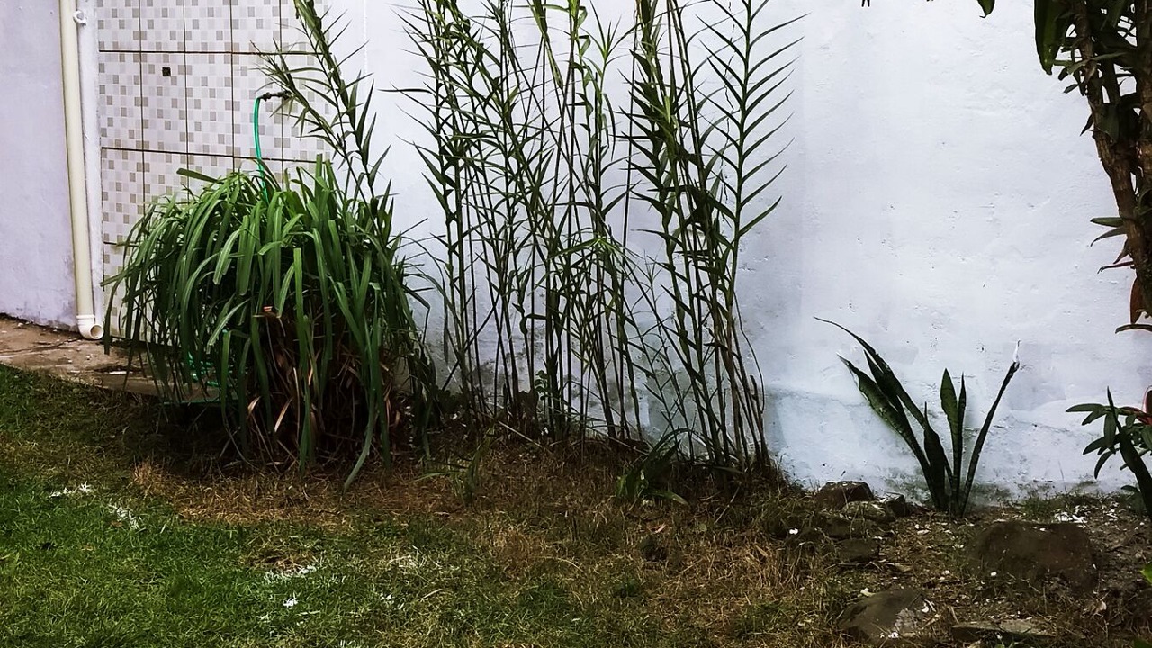 Photo of Outdoor in Balneario Gaivotas