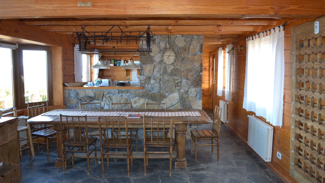 Photo of Others in Lanin National Park