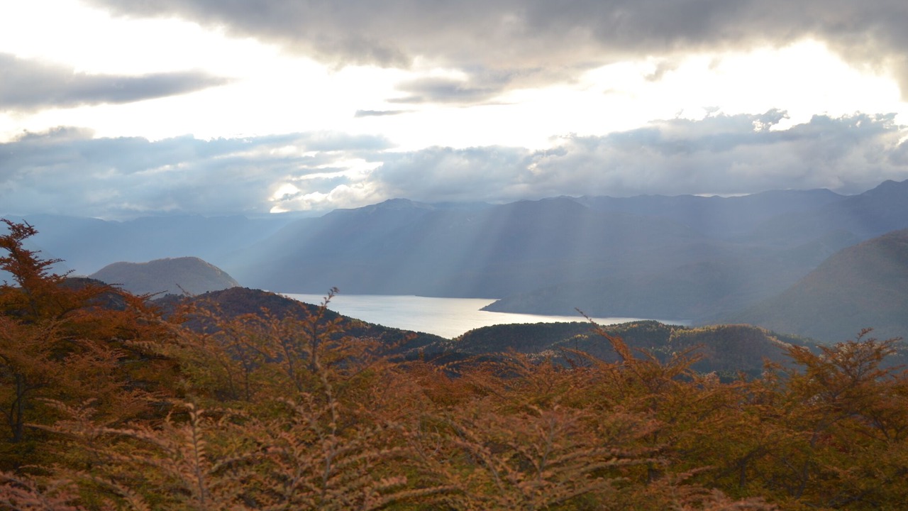 Photo of Others in Lanin National Park
