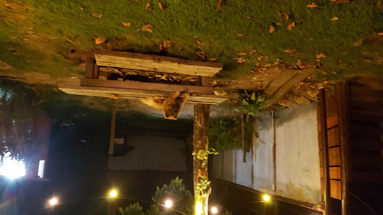 Photo of Outdoor in Barra Grande