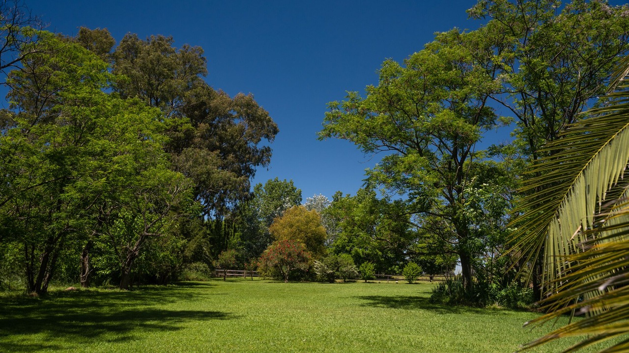 Photo of Outdoor in Capilla del Senor