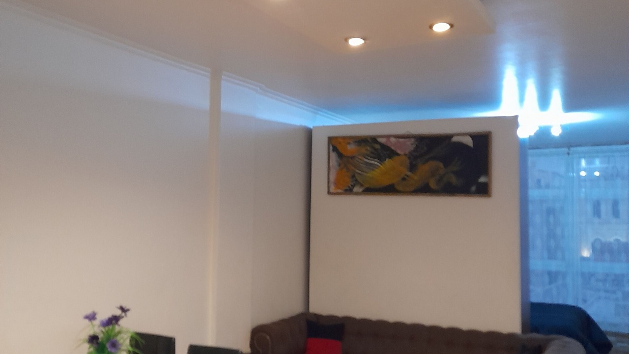 Photo of Livingroom in Congreso