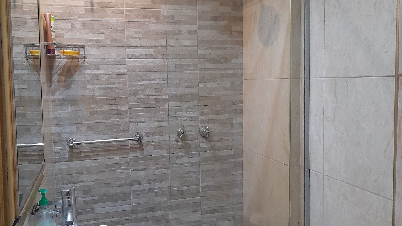 Photo of Bathroom in Congreso