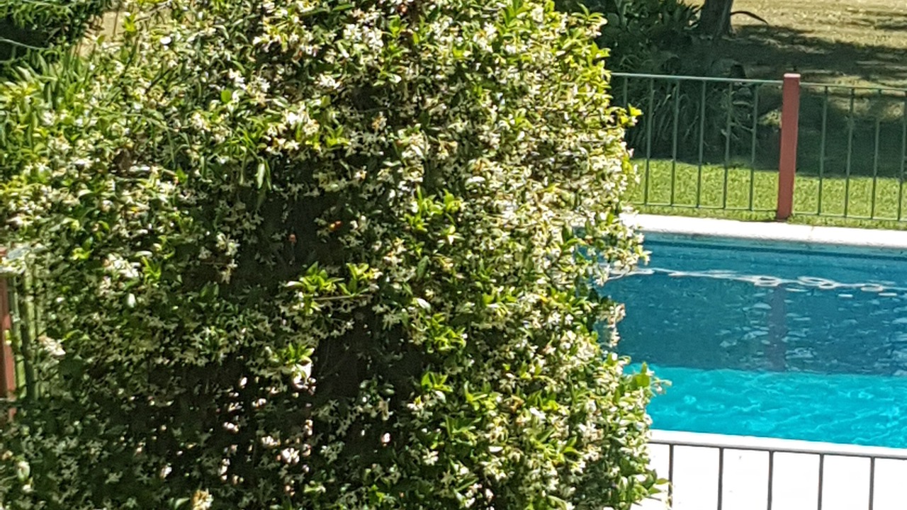 Photo of Outdoor in Pilar Centro