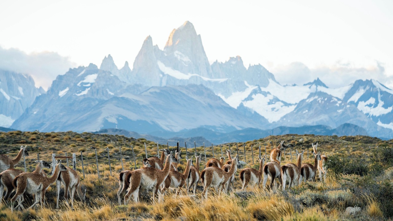 Photo of Outdoor in El Chalten