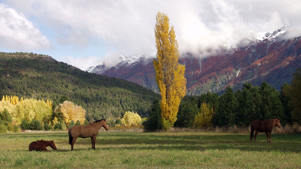 Photo of Outdoor in La Bolsa