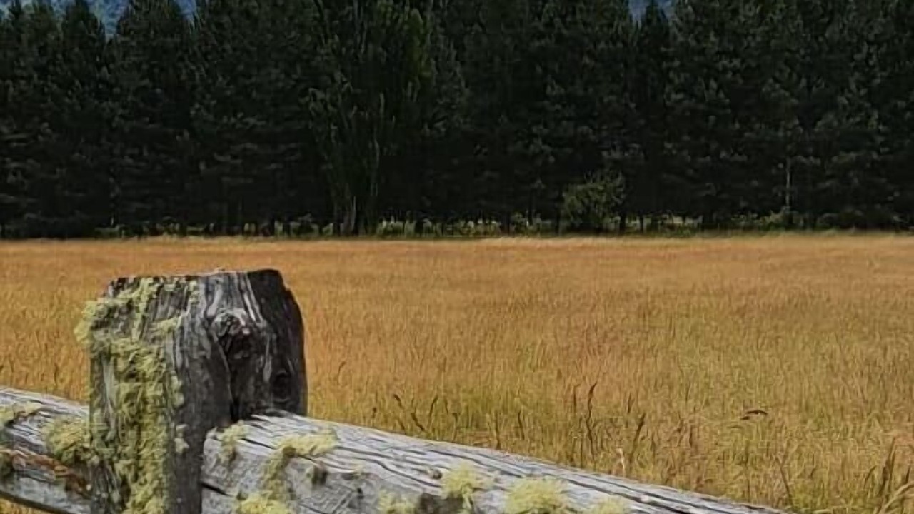 Photo of Outdoor in La Bolsa