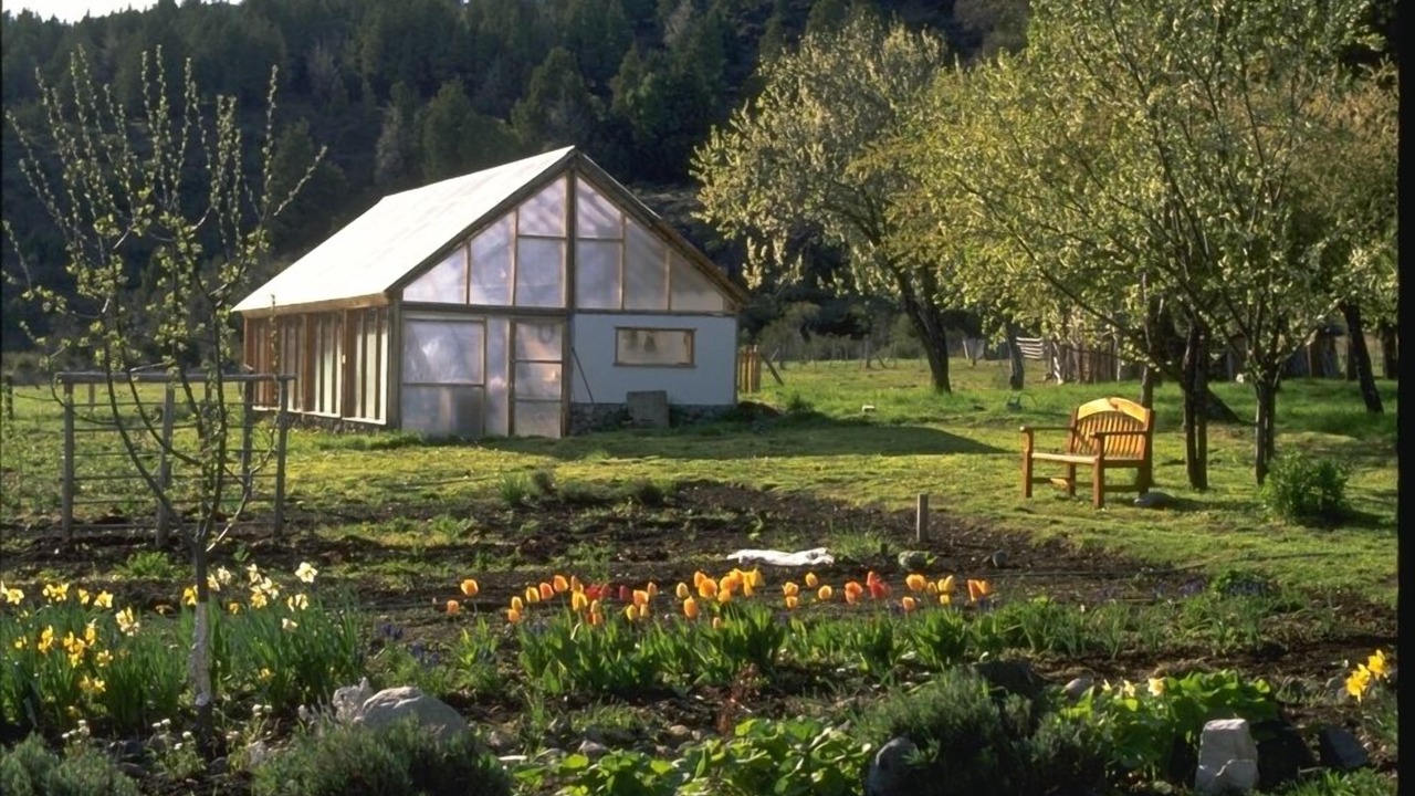 Photo of Outdoor in La Bolsa