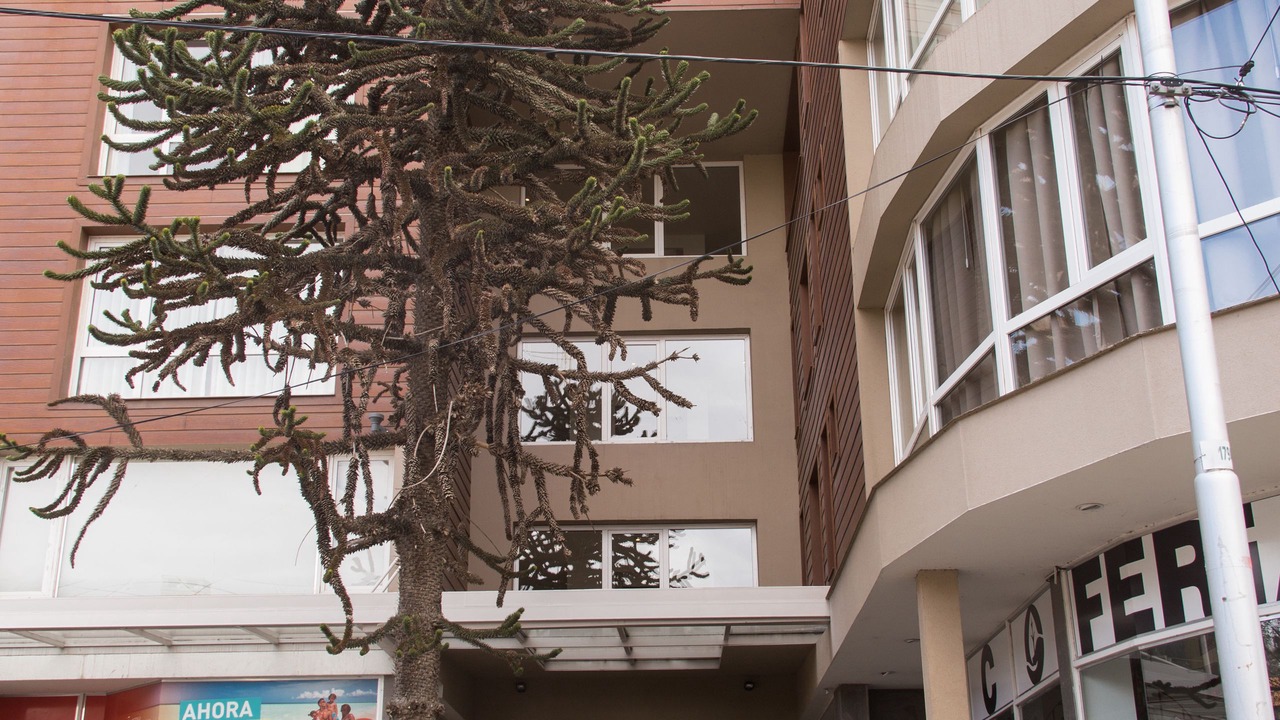 Photo of Outdoor in Centro