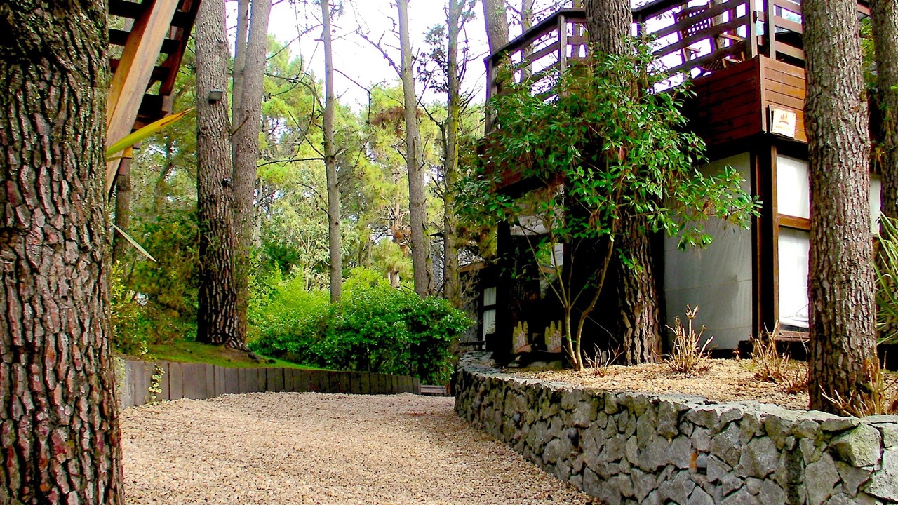 Photo of Outdoor in Mar de Las Pampas