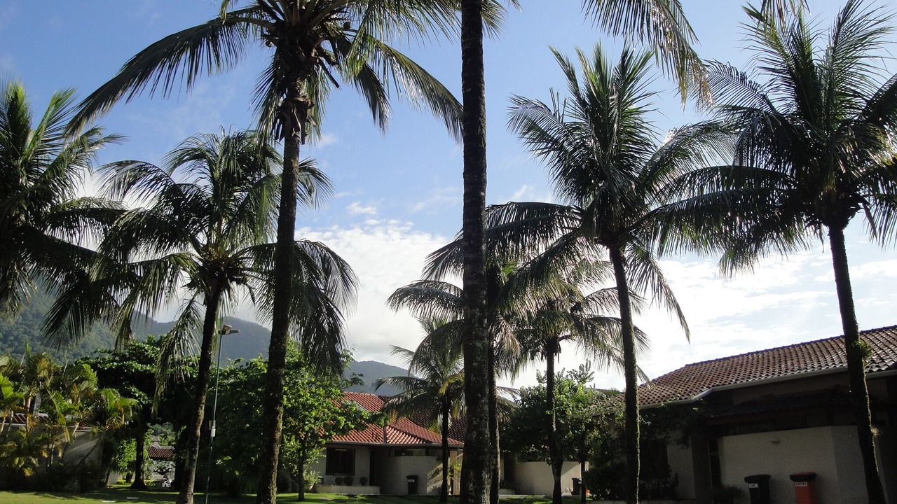 Photo of Outdoor in Maresias