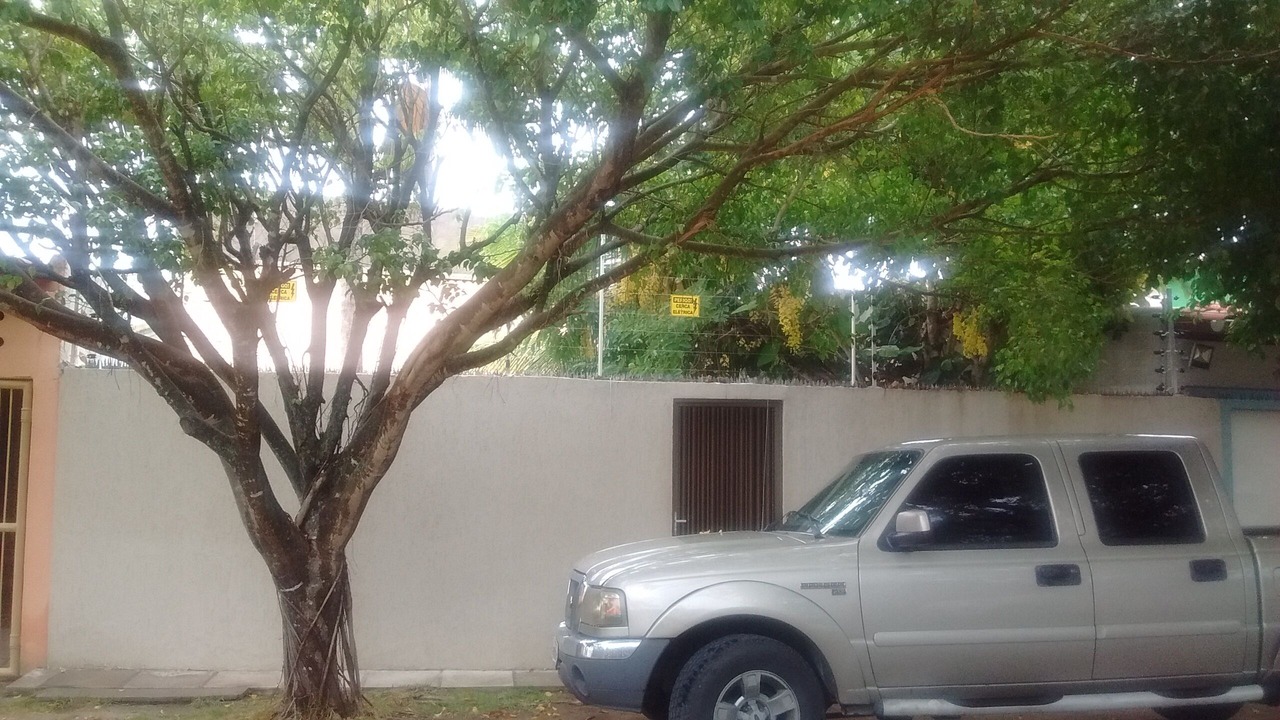 Photo of Outdoor in Tamandare