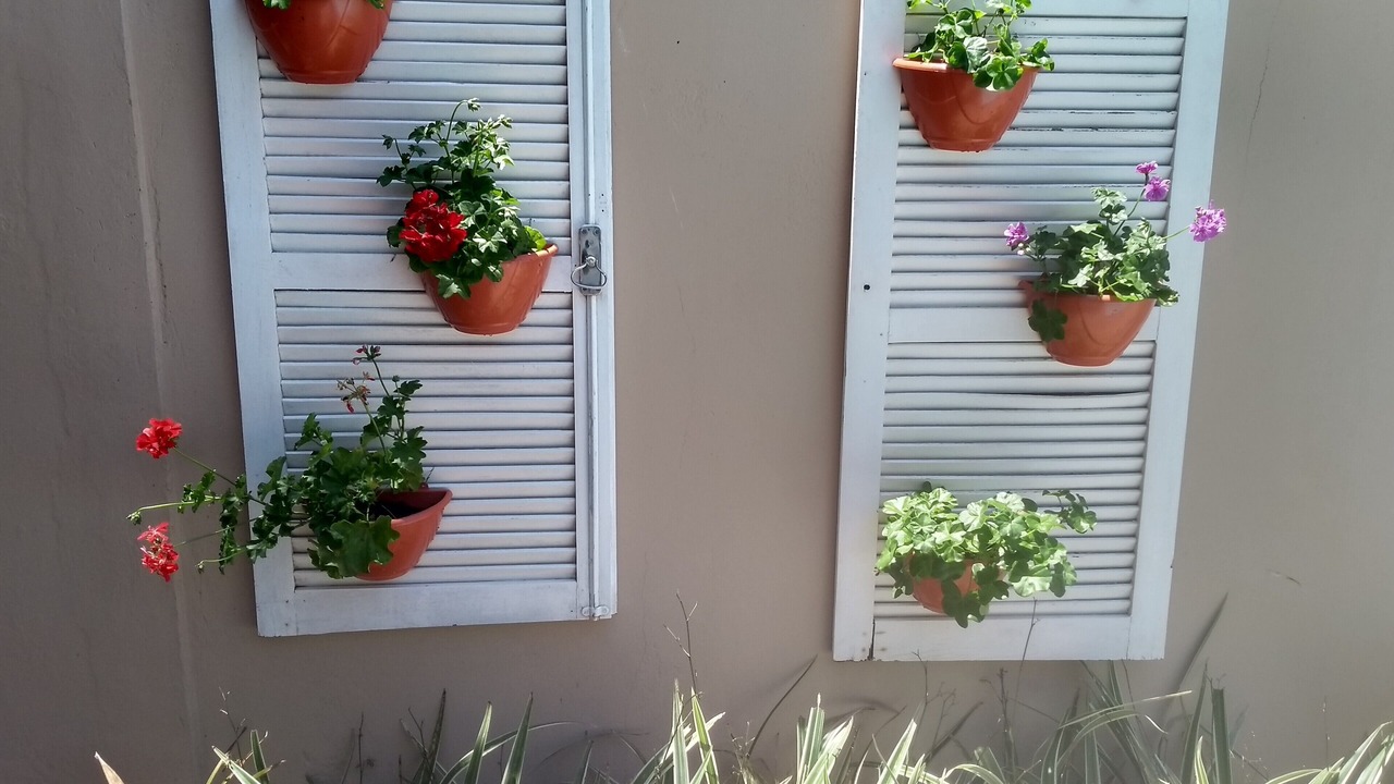 Photo of Outdoor in Rio Vermelho Sul