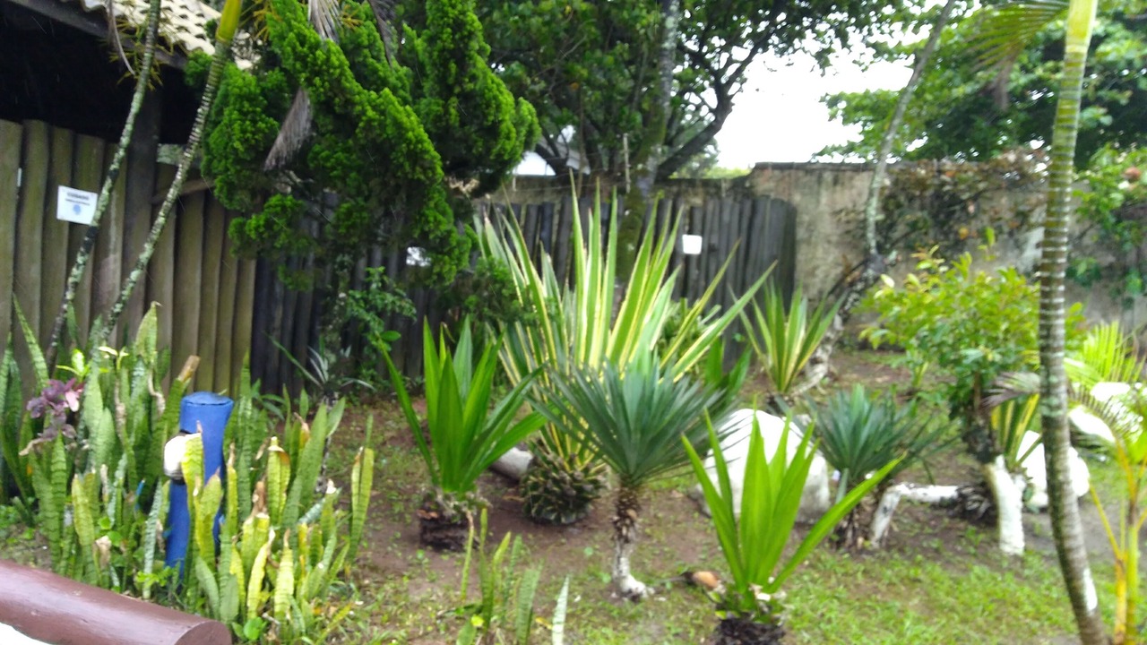 Photo of Outdoor in Mongagua