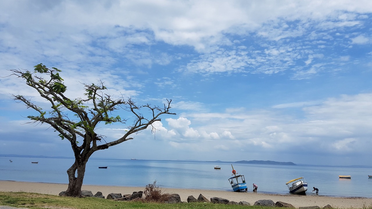 Photo of Others in Itaparica