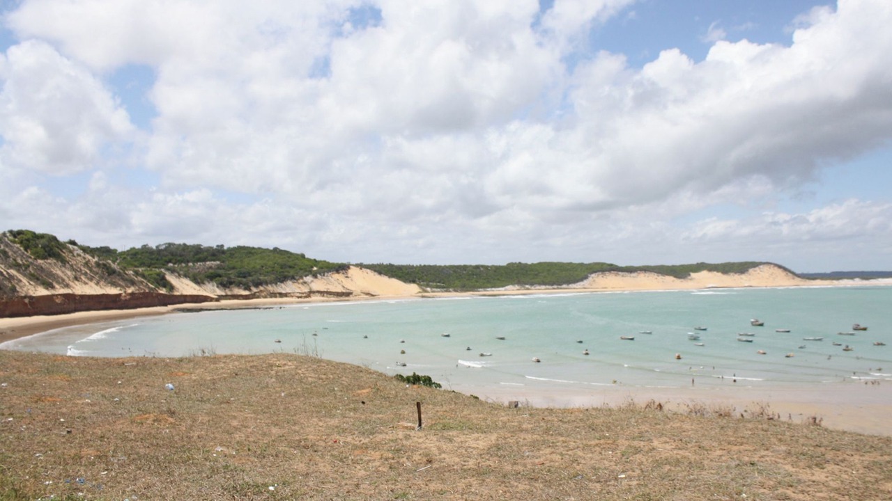 Photo of Others in Baia Formosa