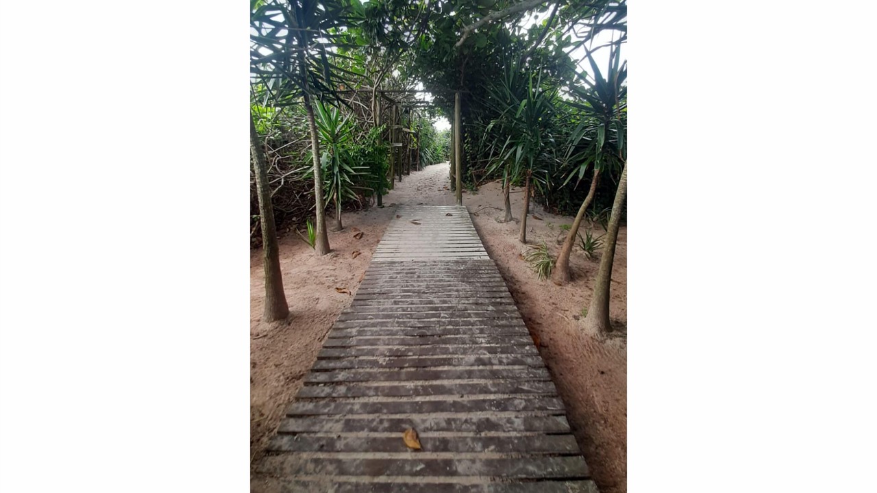 Photo of Outdoor in Ingleses Centro