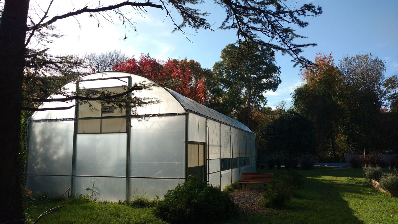 Photo of Outdoor in Ricardo Rojas