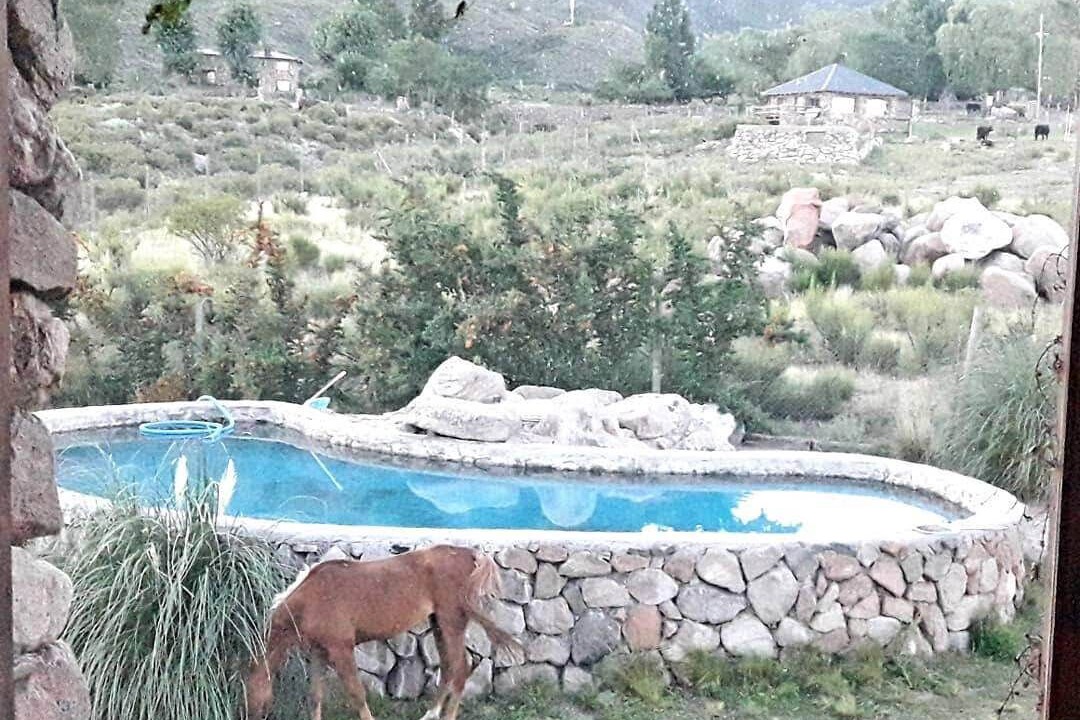 Photo of Outdoor in Vistalba