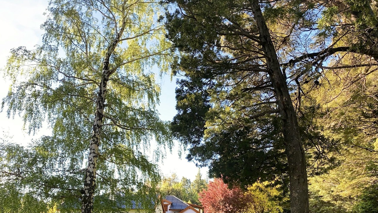 Photo of Outdoor in Villa Arelauquen