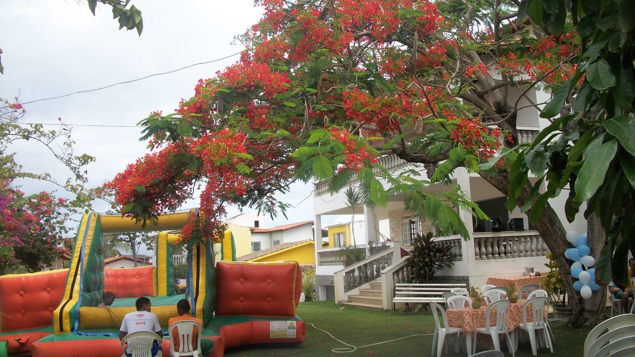 Photo of Outdoor in Ipitanga