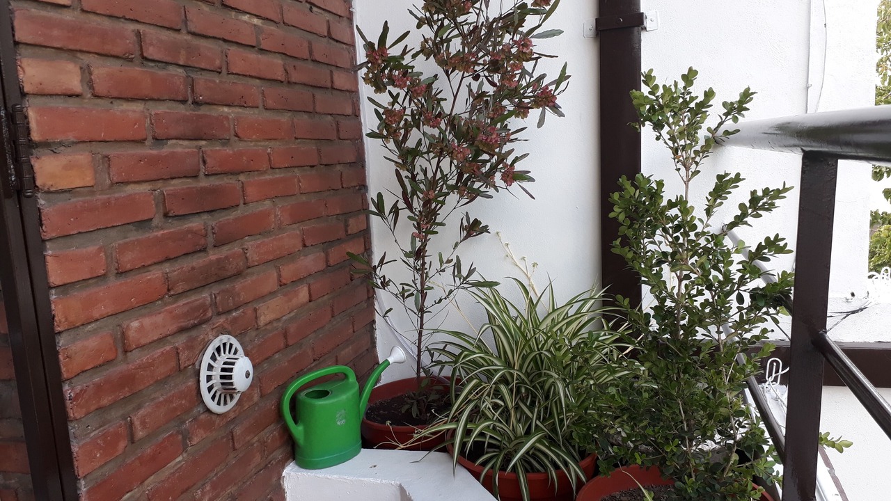 Photo of Outdoor in Villa Devoto