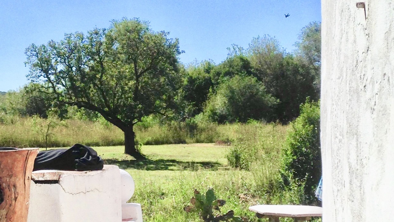 Photo of Outdoor in Villa Tulumba
