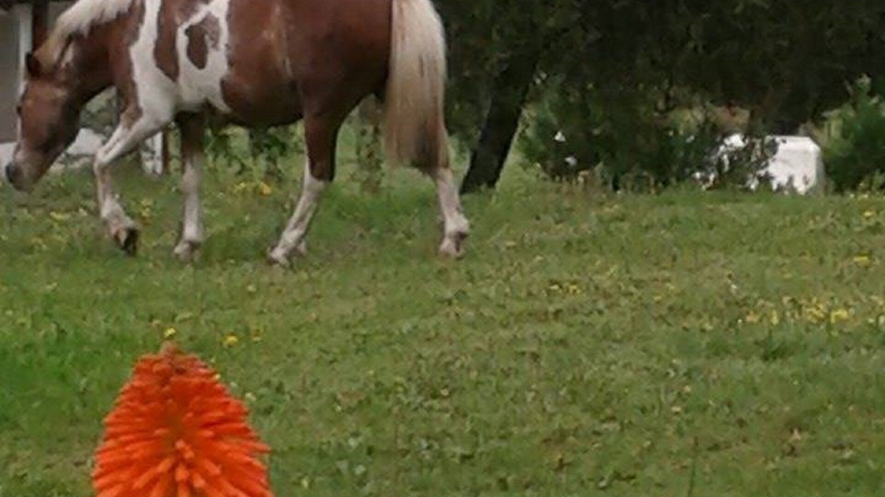 Photo of Outdoor in Tulumba Department