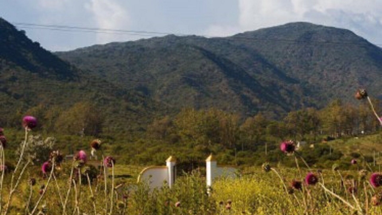 Photo of Outdoor in Tulumba Department