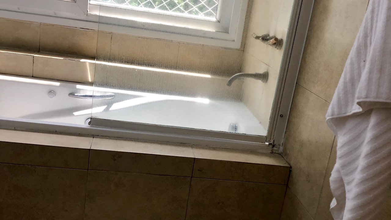 Photo of Bathroom in San Isidro