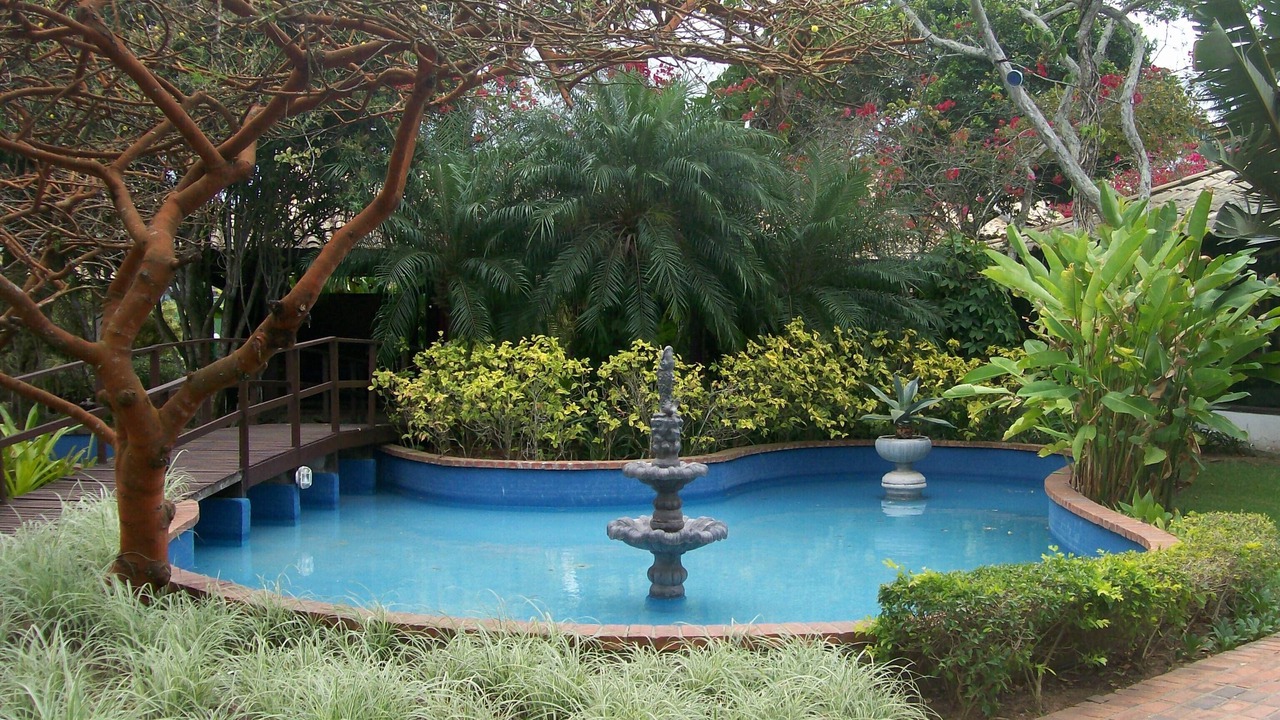 Photo of Outdoor in Praia Rasa