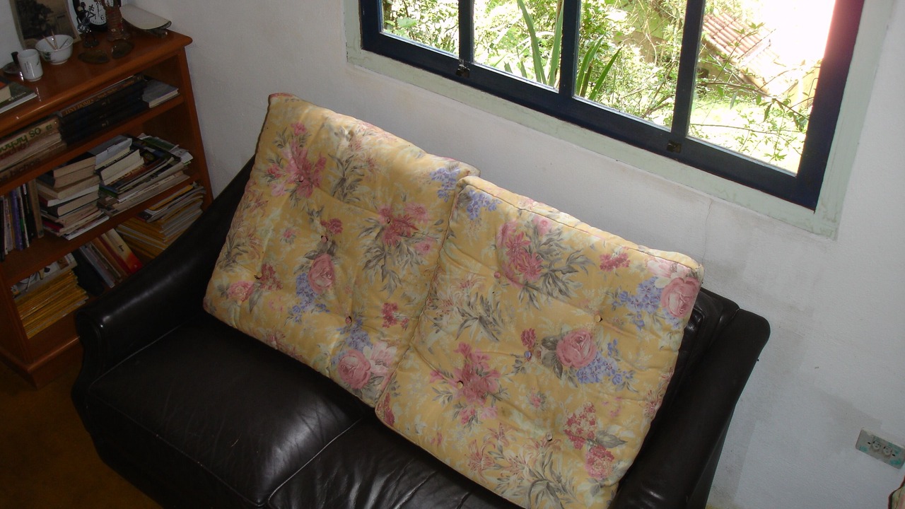 Photo of Livingroom in Goncalves