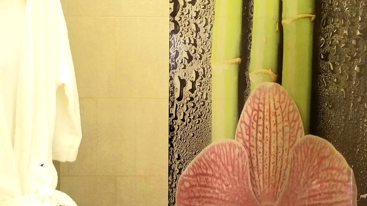 Photo of Bathroom in Microcentro