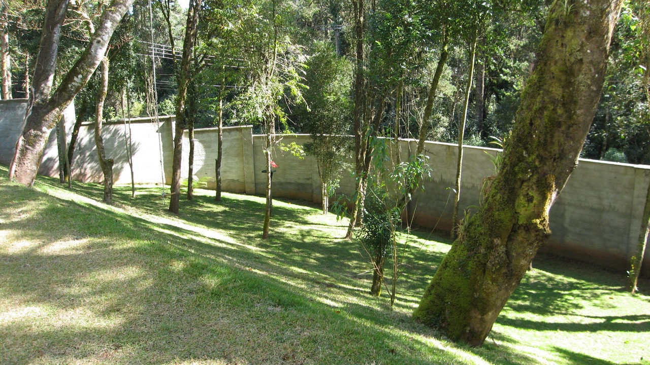 Photo of Outdoor in Monte Verde