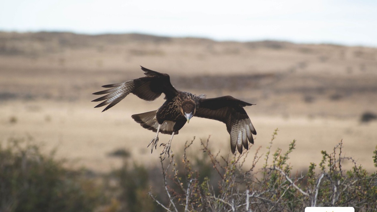 Photo of Outdoor in Macrozona Meseta Cerro Calafate