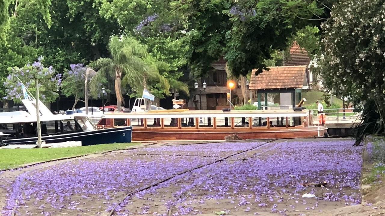 Photo of Others in Tigre
