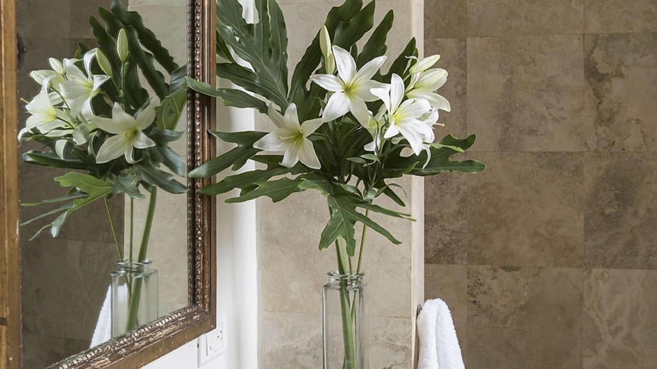 Photo of Bathroom in Recoleta