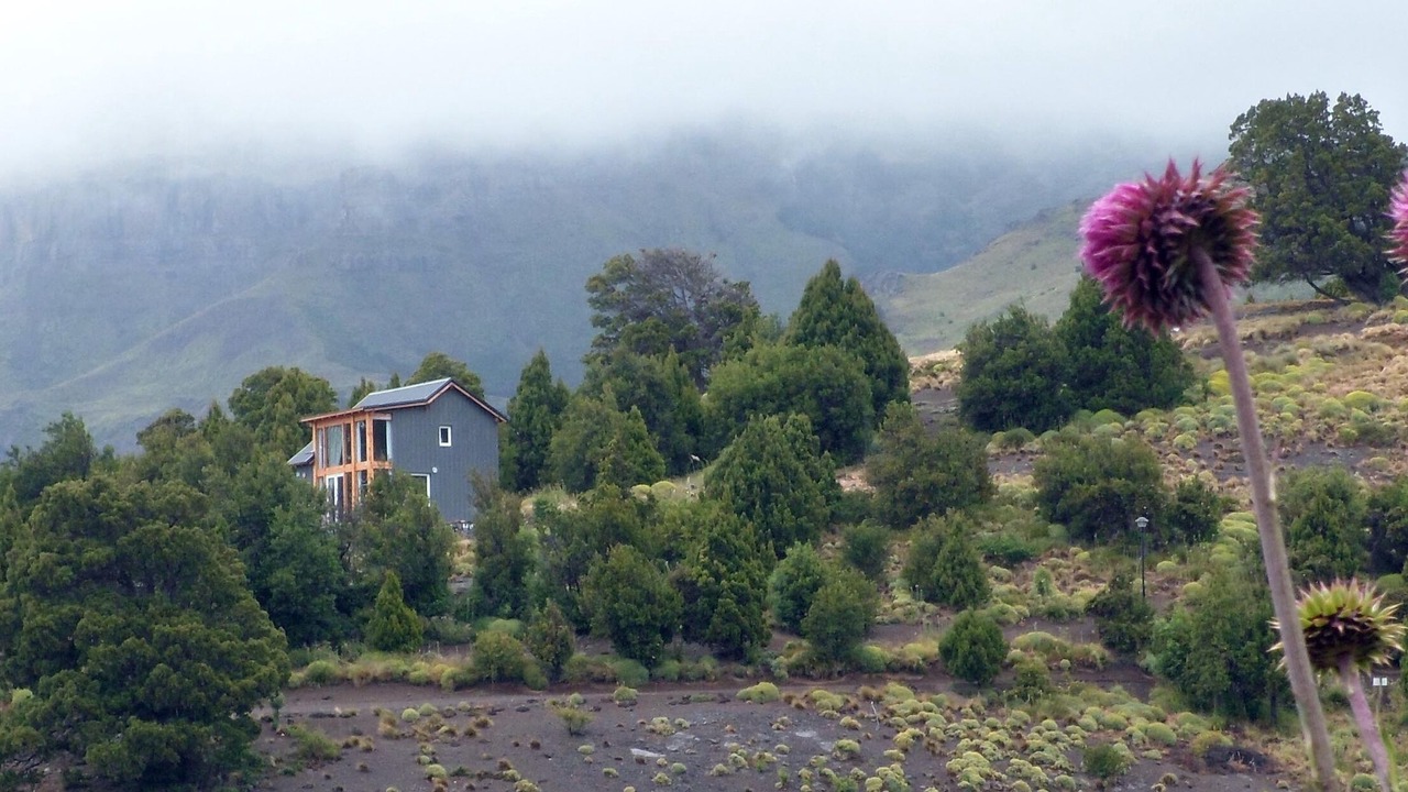Photo of Others in Lanin National Park