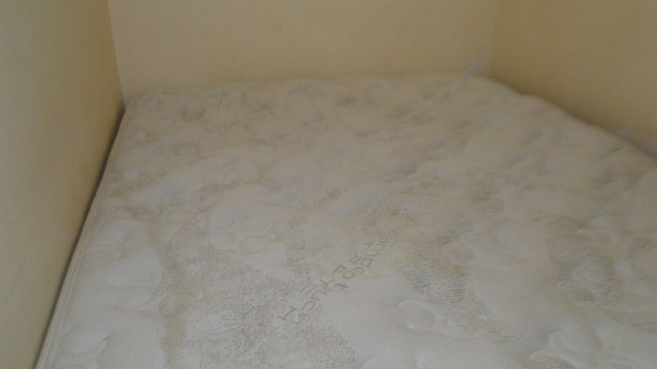 Photo of Bedroom in Canto do Forte